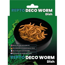 WORM DISH