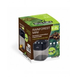Rainforest Mini -...