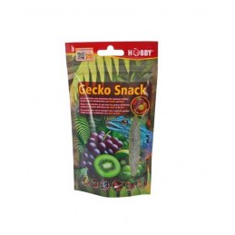 Gecko Snack RAISIN/KIWI 100 g