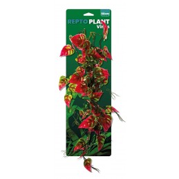 REPTO PLANT VINES...