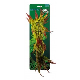 REPTO PLANT VINES FOUGERE...