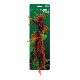 REPTO PLANT VINES FOUGERE...