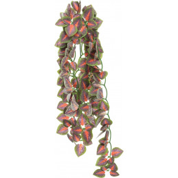 Folium Perillae