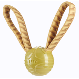 HARRY POTTER The Golden Snitch