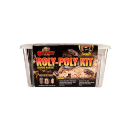 Rolly-Poly Kit isopodes...