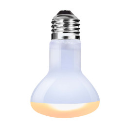 Lampe chauffante lumière du...