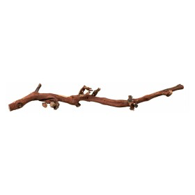 Pieds de vigne M - 30 à 55 cm