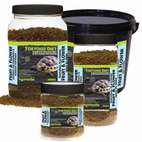Tortoise Diet Fruit &...