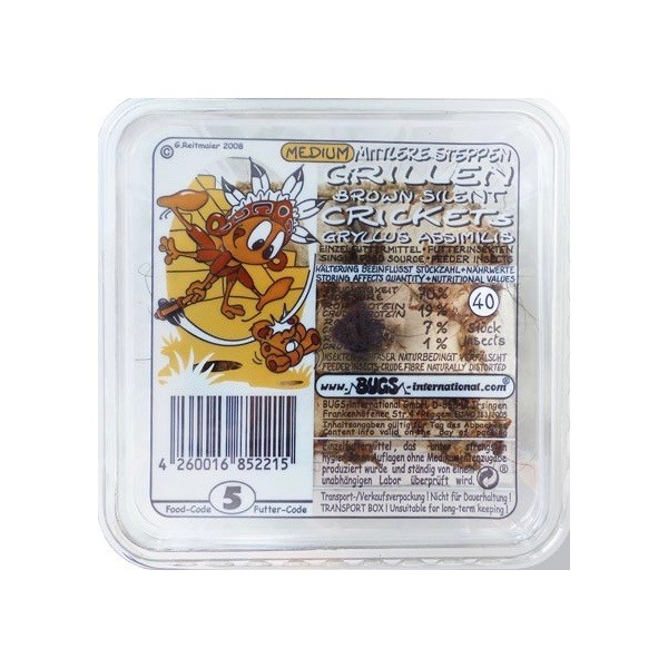 Grillons Assimilis Taille 5 / 40 Pièces