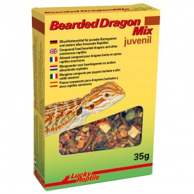 Bearded Dragon Mix Juvenil...