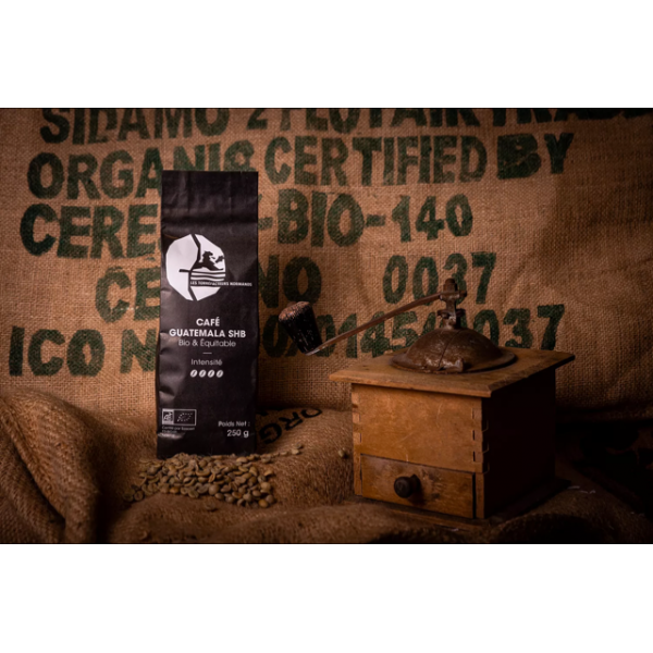 Café du Guatemala en grains - Bio - Equitable (250g)