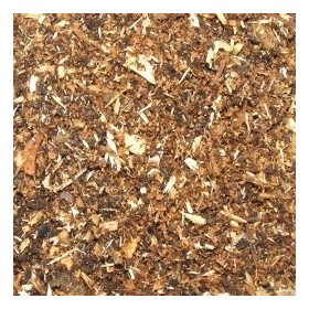 IULES - ISOPODES 15 L