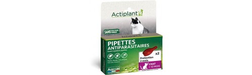 Pipette antiparasitaire