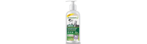 Shampoing antiparasitaires
