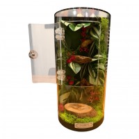 Découvrez notre collection de terrariums premium design